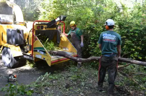 tree services Oakley